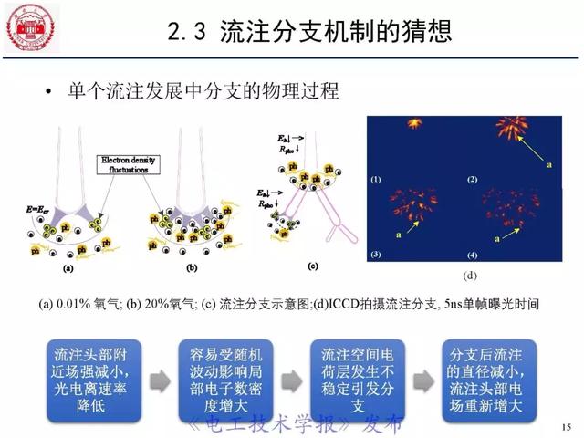 青年学者报告｜湖南大学陈赦：空气间隙流注分支特性及三维模型