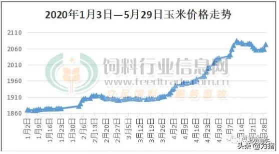 原料涨价、饲料全面禁抗，双重成本增加大型饲料企业纷纷涨价