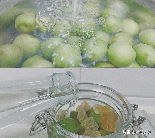 豆苗、番茄、迷迭香，在阳台，你可以种出一百种好滋味