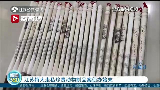 江苏特大走私珍贵动物制品案宣判！被告人走私563公斤象牙被判刑11年6个月