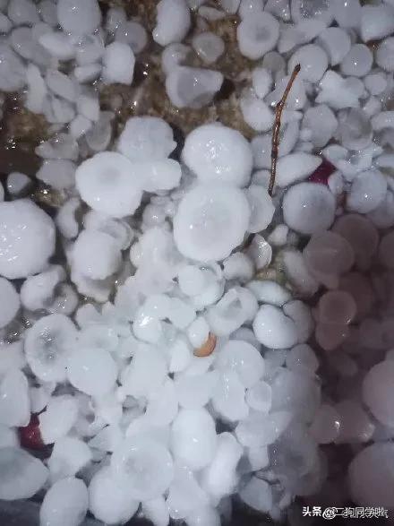 昨晚，山东14市遭遇冰雹天气！最大鸡蛋个头等于