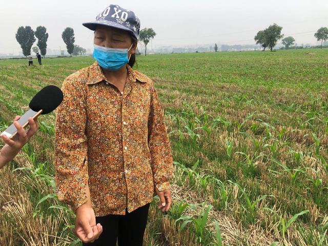 减肥减药减投入，增产增收增效益