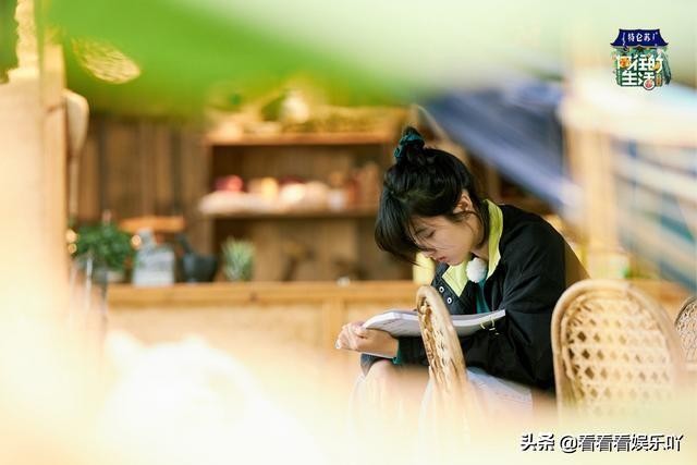 周迅、郭麒麟、张婧仪做客向往的生活，为啥这么吸引人？