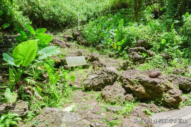 世界上保存最完整的火山群，拥有40多座火山，竟然藏在海南海口