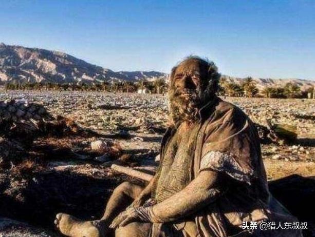 世界吉利斯记录中最让人无语的五项记录，你怎么看