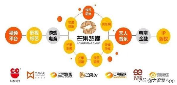 《乘风破浪的姐姐》你们看的是综艺，我看到的