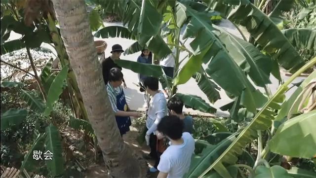 太危险！彭昱畅砍椰子镰刀脱落，何炅黄磊在下面发笑受质疑