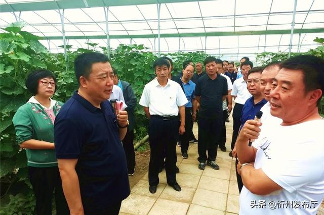 巩固发展"脱贫果" 切实做好"后半篇"