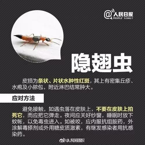 抚州人注意！近期高发！严重可致命