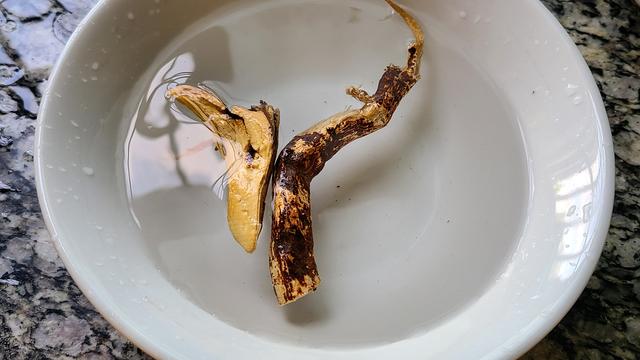 五指毛桃蒸鸡的做法，香气四溢又好吃，我家很喜欢的一道家常菜