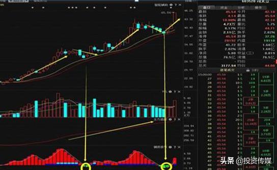 A股市场：未来3至5年最看好的医药龙头股，谁会