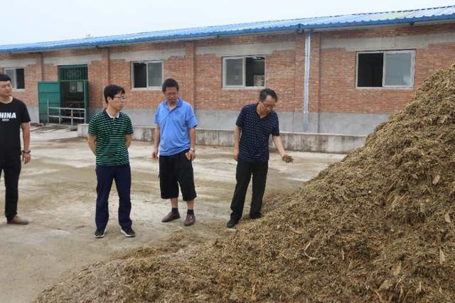 让技术提升养牛业水平——陕西省肉牛产业技术体系专家到陕西永寿开展技术服务