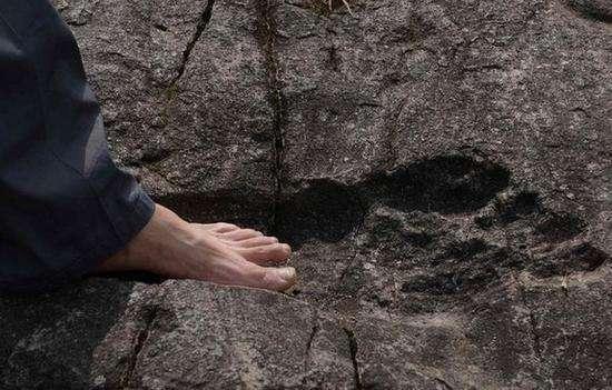 两亿年前留在地球上的大脚印坑真的是巨人留下的吗？对此你怎么看