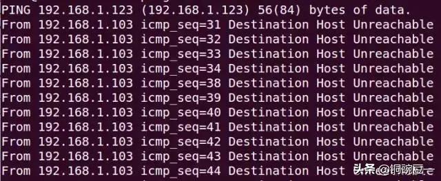 电脑网络：9大网络命令，学懂纵横网络世界