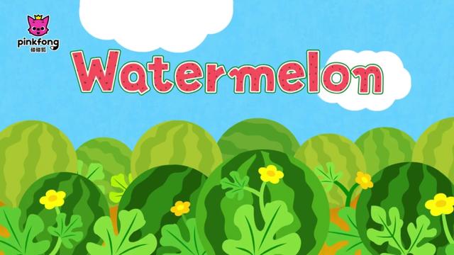 watermelon什么意思(strawberry什么意思)