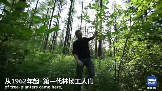 塞罕坝简介