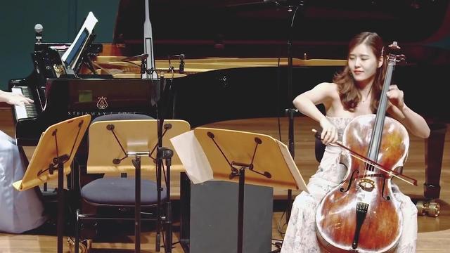 曲谱简谱 大提琴天鹅这一段描述的是什么