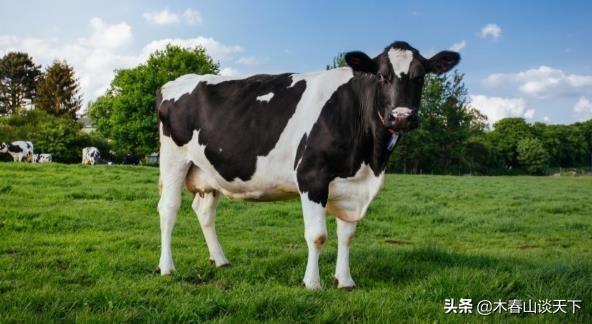 放弃幻想吧！100年前美澳就是盟友 如今能闹掰吗