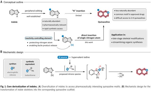 Influence Of Nitrogen Atom Insertion On Late Diversification Of Indole