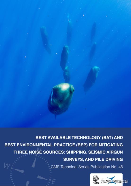 UN Releases New Report Reducing The Impact Of Underwater Noise