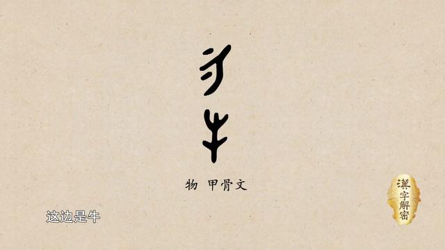 勿什么意思(勿字代表什么意思)