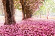 补充词语池边()陌上()柳()花()