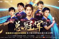 王者荣耀第三届全国大赛完美落幕，武汉斗鱼NBW摘得桂冠