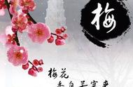 写梅花的诗句有哪些?