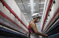 国内棉纺织行业有哪些分化趋势和相应对策？