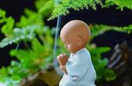 善人有善报的生活实际
