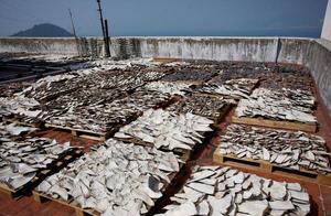 The man is dark when seeking fim business, witness