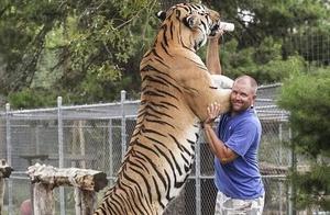 Below camera lens: American man raises 6 tigers an