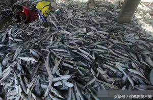 The person that fish cuts the piscine fim of the s