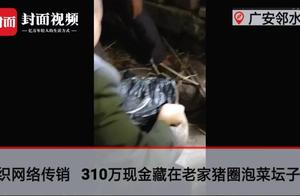 Tibet of 3.1 million cash is filled south jar of pickle of native place piggery pass sell total repr