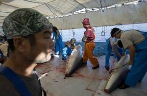 Food is consuetudinary draw controversy: Eat a pig