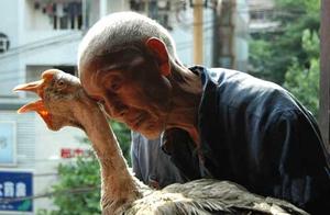 8 a period of ten days " ruffian " old man, unsu