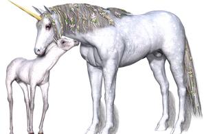 Novel: What vulpine essence and childish chicken e