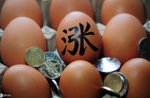 Countrywide egg price is certain on May 18, 2019 in belt go up, how can just let chicken produce mor