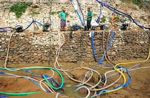 The farmer brother of the fight the nature, good t