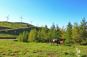 The summer is away for the summer holidays good pl