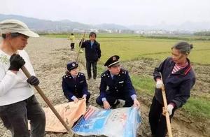 Summer harvest is received summer kind, true bogus