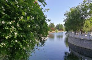 Buy product of bank conduct financial transactions