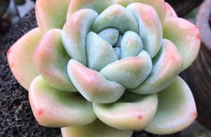 9 of meaty conserve " hole " , before 3 I had wa