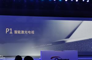 P1 of abstruse graph code is shown to be bogus las