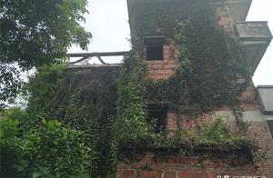 Dongguan: A building that nobody stay in, is there