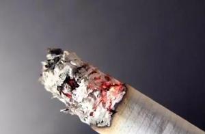 The shock runs of the net completely of road gambl