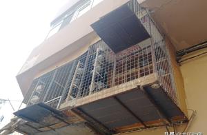 First floor dweller builds pigeon house outside the window, 23 buildings dweller: Such neighbour on