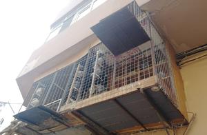 First floor dweller builds pigeon house outside th