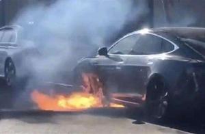 Take an user to become really small white rat? The