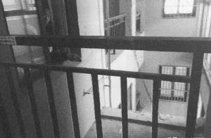 15 years old of teenagers rape 7 years old female 